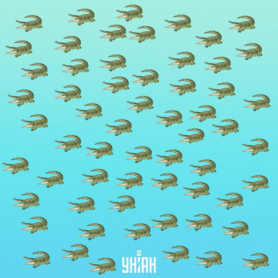 Gmaz se sakrio, ali mora se vidjeti za 15 sekundi / Kolaž Moje