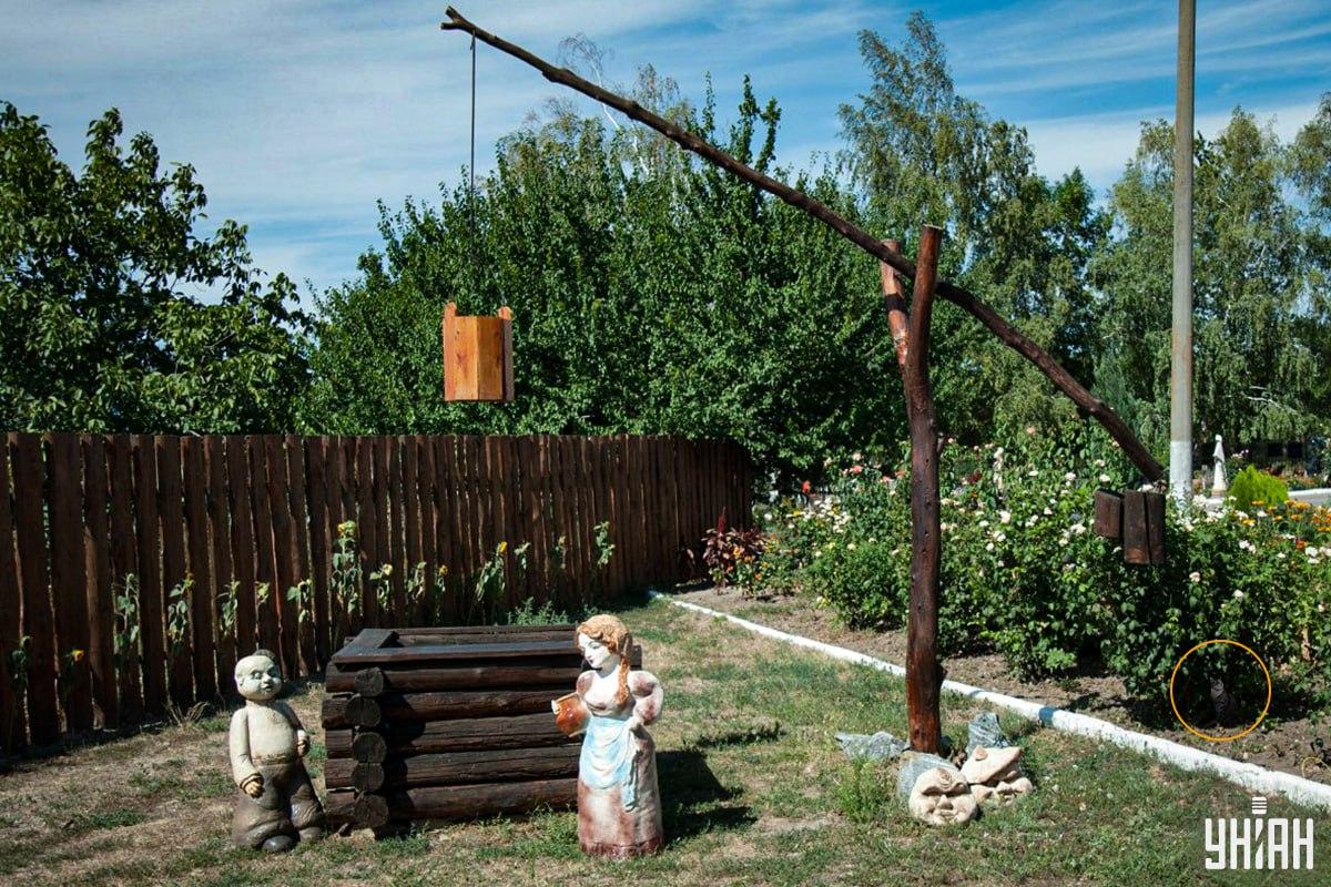 Mačka je bila u cvjetnoj gredici / Moje kolaž