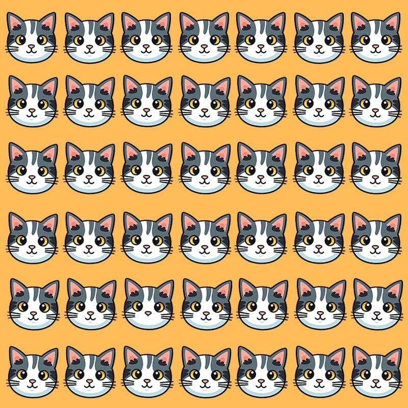 Ova optička iluzija je moguća samo za ljude s velikim IQ / slika Moje