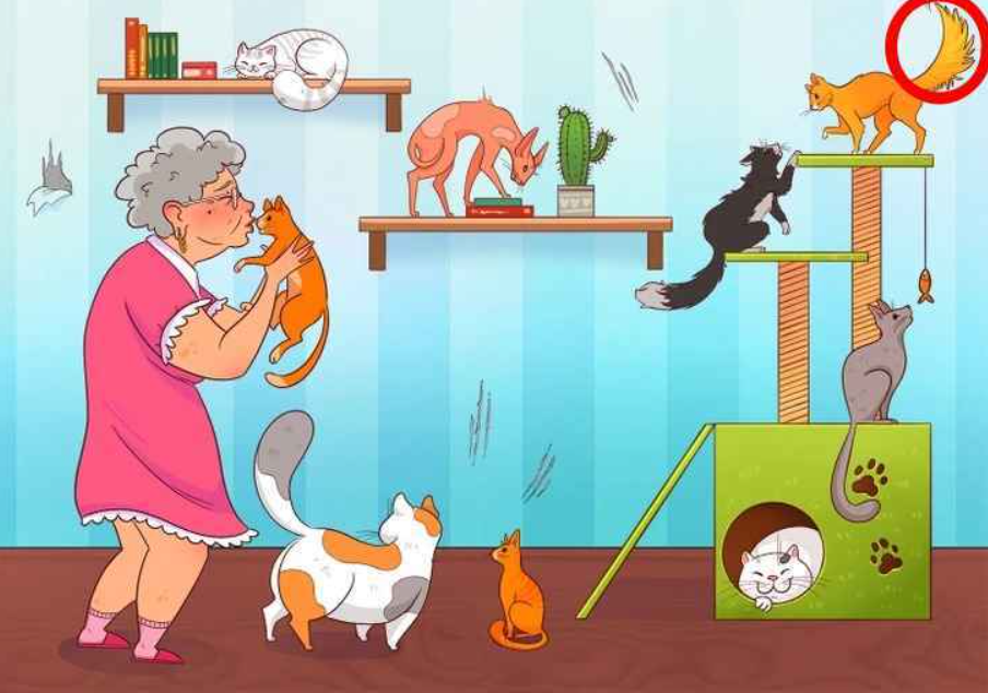 fotografija Brightside