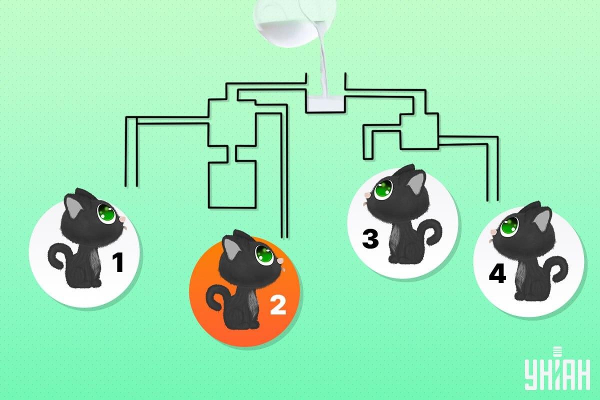 Sretna mačka bila je broj 2 / Moje kolaž