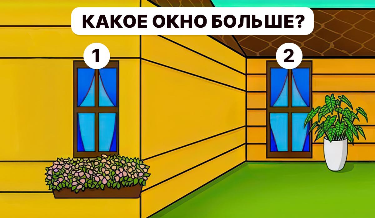 Moramo razumjeti koji je prozor veći / Moje kolaž