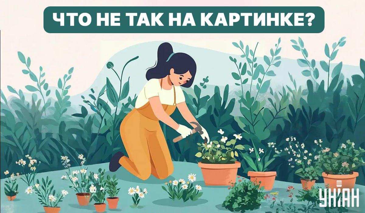 Pokušajte pronaći pogrešku / Kolaž - Moje