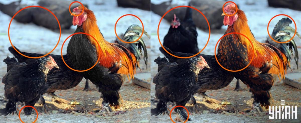 Trebalo je obratiti pozornost na male detalje / Moje kolaž