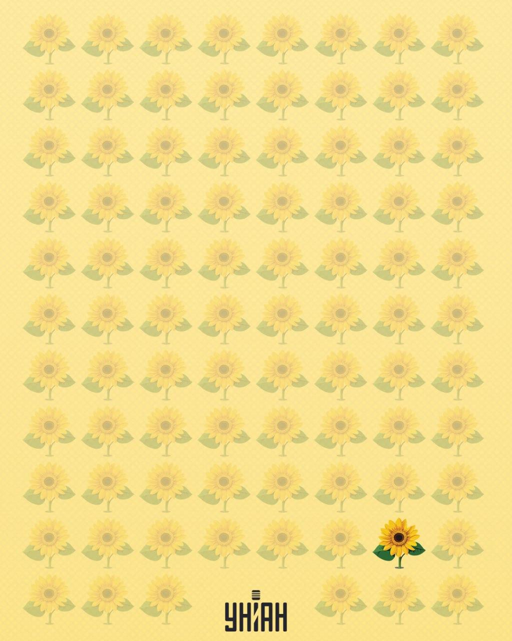 Suncokret kojem nedostaje latica nazvan je čudnim / Moje kolaž