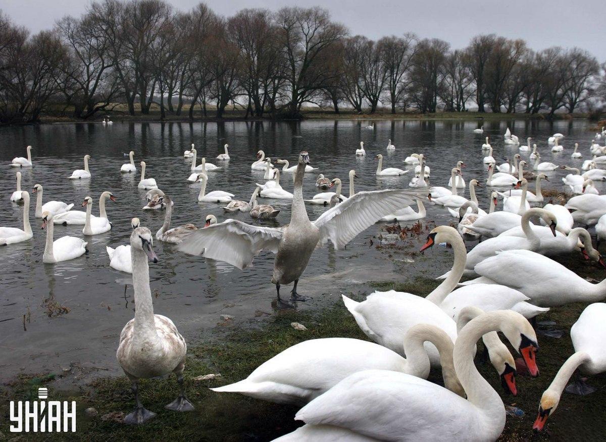 Može biti u bilo kojem dijelu slike / Kolaž Moje