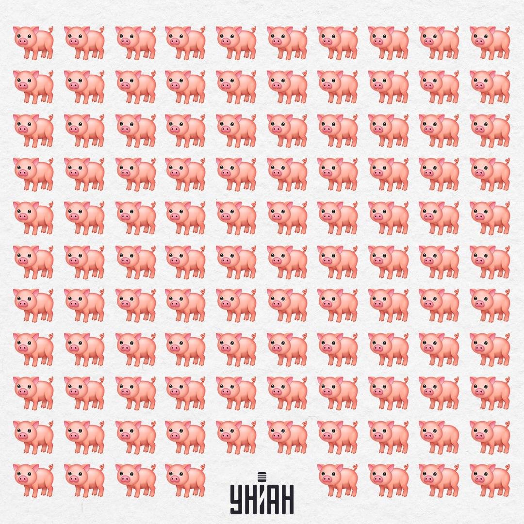 Naša svinja je tamo negdje, neće vam tako lako zapeti za oko / Kolaž Moje