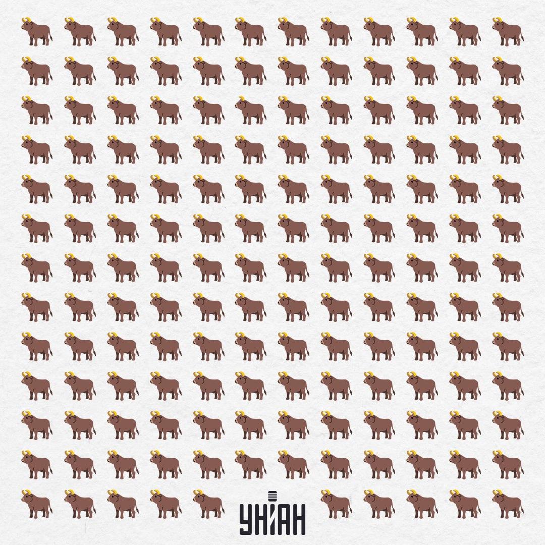 Ovdje ih ima 154, ali jedan nije takav - trebali biste ga vidjeti za 10 sekundi / Kolaž Moje