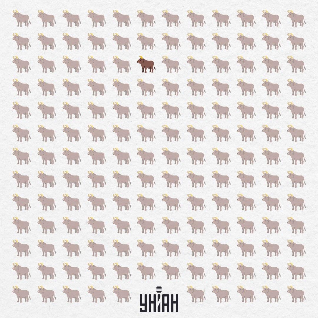 Skrivao se u središtu, gotovo od samog vrha / Kolaž Moje