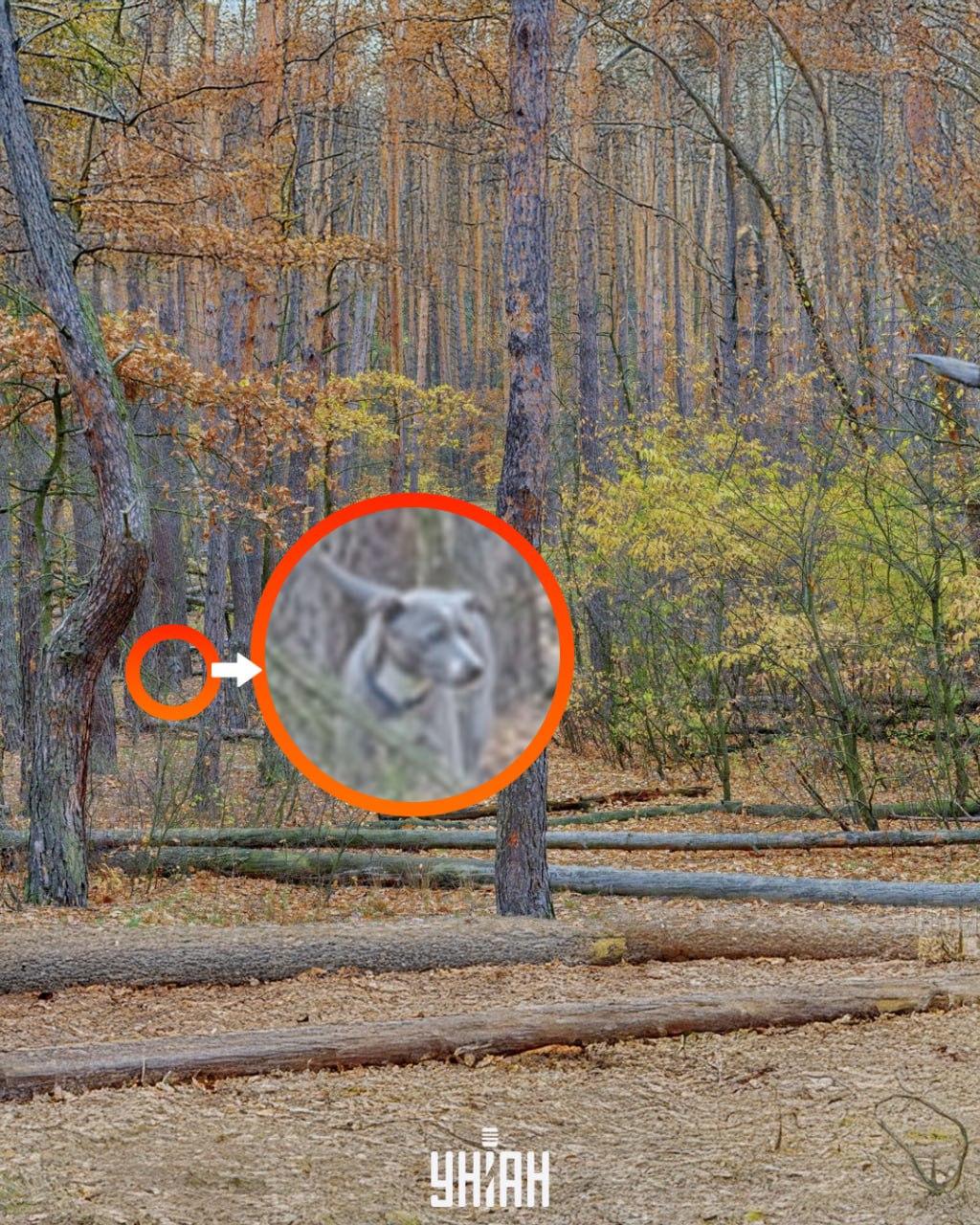 foto Moje, Falin Vladimir