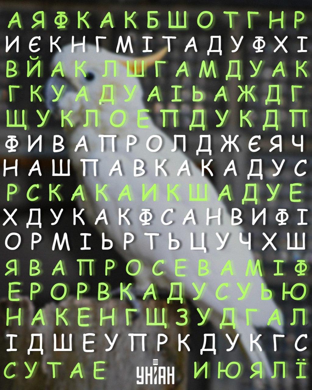 kolaž Moje kolaž Moje