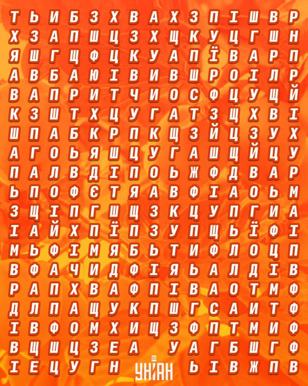 kolaž Moje kolaž Moje