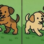 IQ test: pronađite 3 razlike na slikama dva psića u 51 sekundi IQ test: pronađite 3 razlike na slikama dva psića u