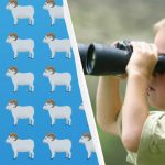 Iznenađujuće teška zagonetka: morate pronaći jedinstvenog ovna za 7 sekundi