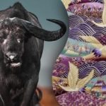 Morate pronaći bika na slici za 15 sekundi: zagonetka za najpažljivije Morate pronaći bika na slici za 15 sekundi: zagonetka za