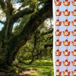 Samo 2% genijalaca će pronaći riječ "stablo" u 10 sekundi: nevjerojatna zagonetka Samo 2% genijalaca će pronaći riječ “stablo” u 10 sekundi: