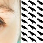 Samo 5% ljudi će pronaći papigu u ovoj optičkoj iluziji za 10 sekundi Samo 5% ljudi će pronaći papigu u ovoj optičkoj iluziji