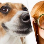 Samo pravi IQ titan će vidjeti psa u snijegu za 10 sekundi: optička iluzija koja oduzima dah Samo pravi IQ titan će vidjeti psa u snijegu za