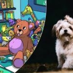 Samo rijetki su sposobni za to: samo pravi detektiv može