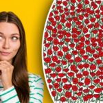 Samo super pažljivi će pronaći raka na slici: testirajte svoj IQ u 25 sekundi Samo super pažljivi će pronaći raka na slici: testirajte svoj