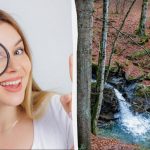 Vi ste među 1% genijalaca ako možete pronaći vjevericu u