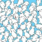 Zagonetka za osobe s oštrim vidom: pronađite sljez među tuljanima za 11 sekundi Zagonetka za osobe s oštrim vidom: pronađite sljez među tuljanima