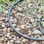 Zanimljiv IQ test: pokušajte pronaći skrivenu žabu u samo 5 sekundi Zanimljiv IQ test: pokušajte pronaći skrivenu žabu u samo 5